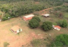 Fazenda para venda com 166 hectares - 13129