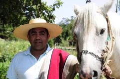 Patagonie ferme de 47 hectares à vendre - 13133