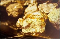 Mine d'or à vendre au Brésil - 1114449