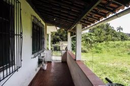 Palmito farm 17 hectares for sale - BRA12Pupu