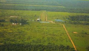 Chaco 20.000 hectares de ferme à vendre - 1135295-PJU